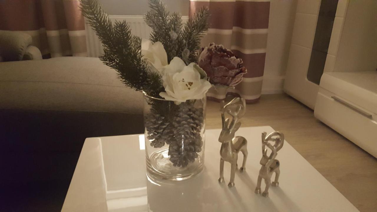 Ferienwohnung Haus Zeier Goslar Luaran gambar